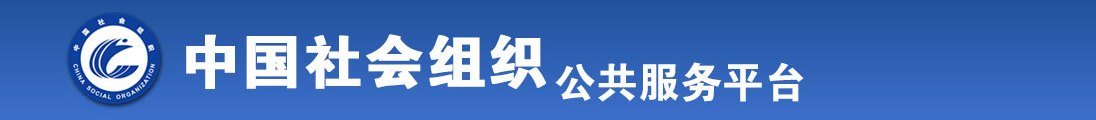 男人插女人小穴全国社会组织信息查询